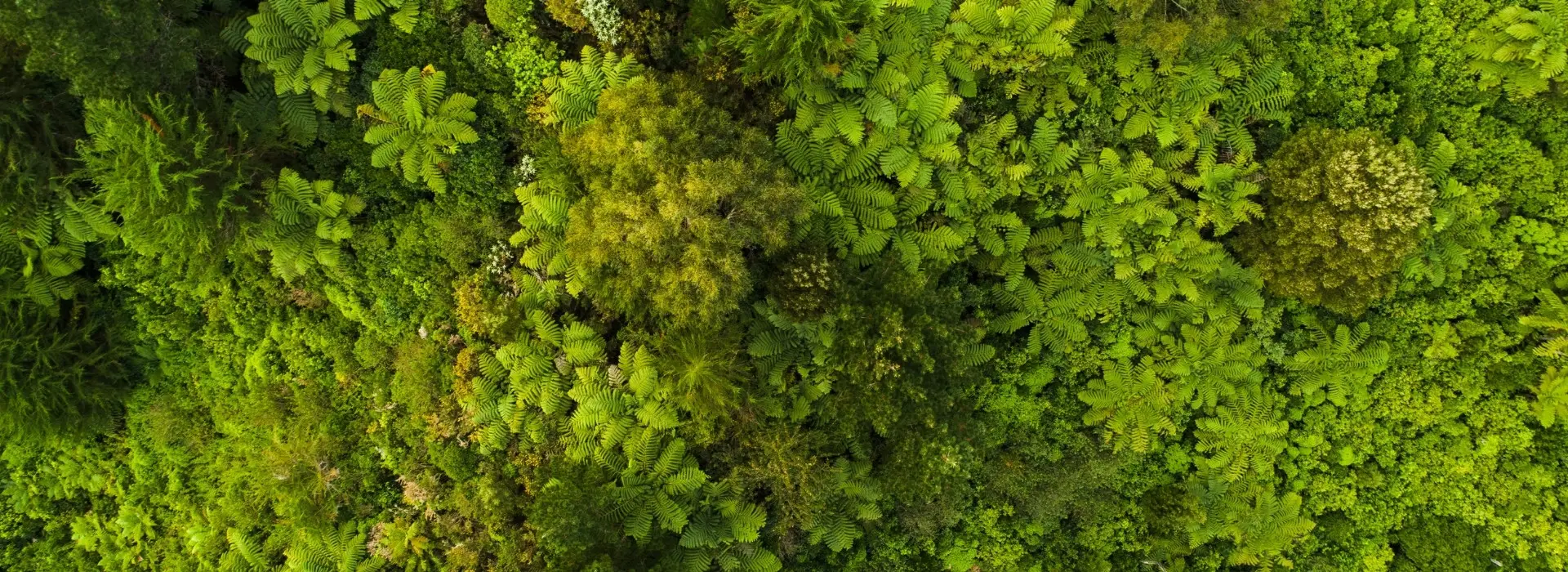 Social Responsibility & Sustainability